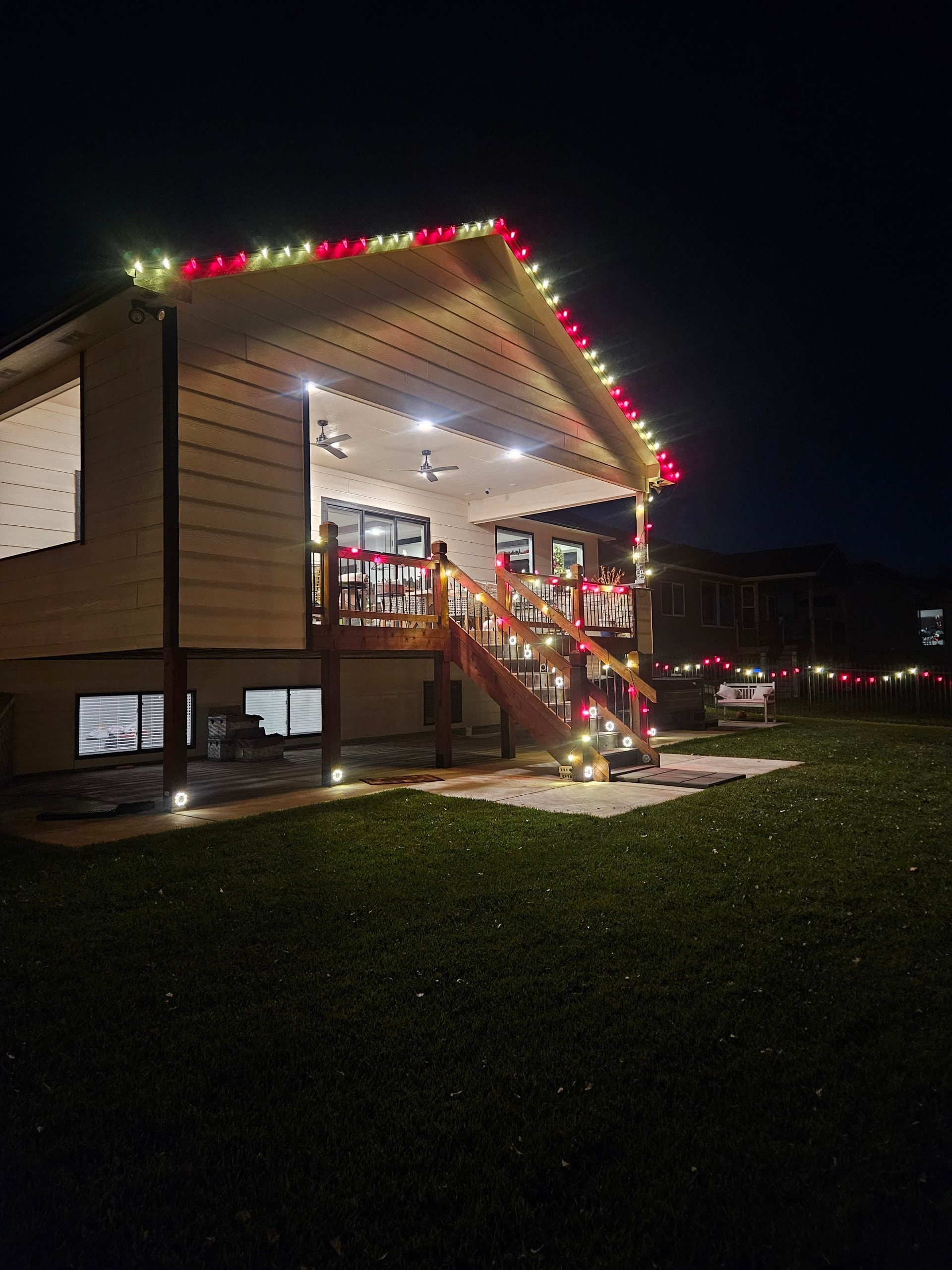 Christmas lights on trees