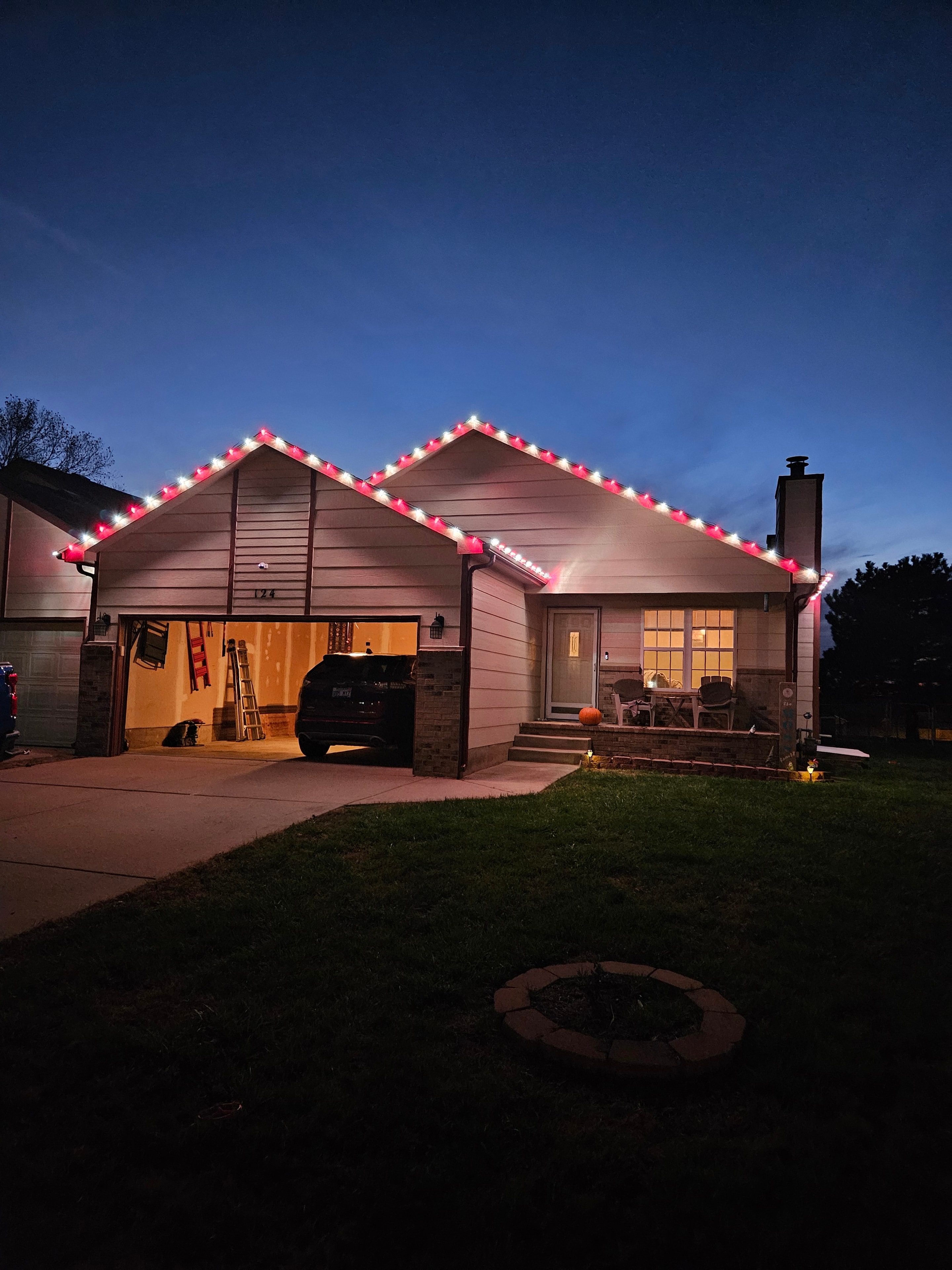 Christmas lights on shrubs
